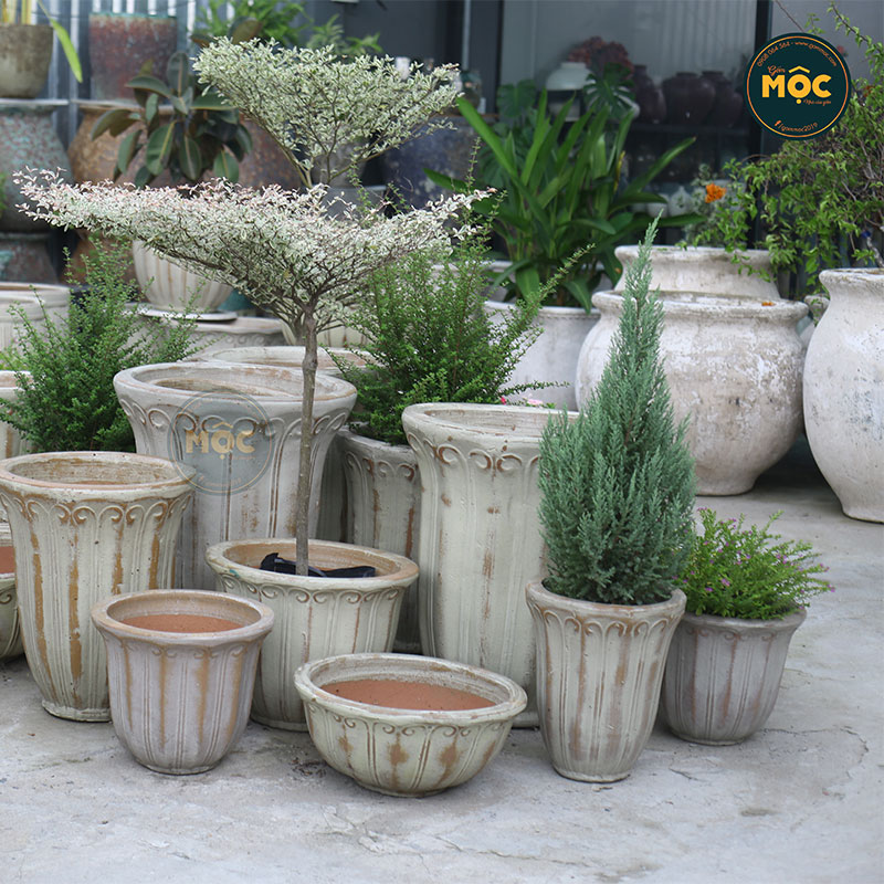 Men Mộc | 3911 Hoa Cẩm Tú Cầu 48x48x22