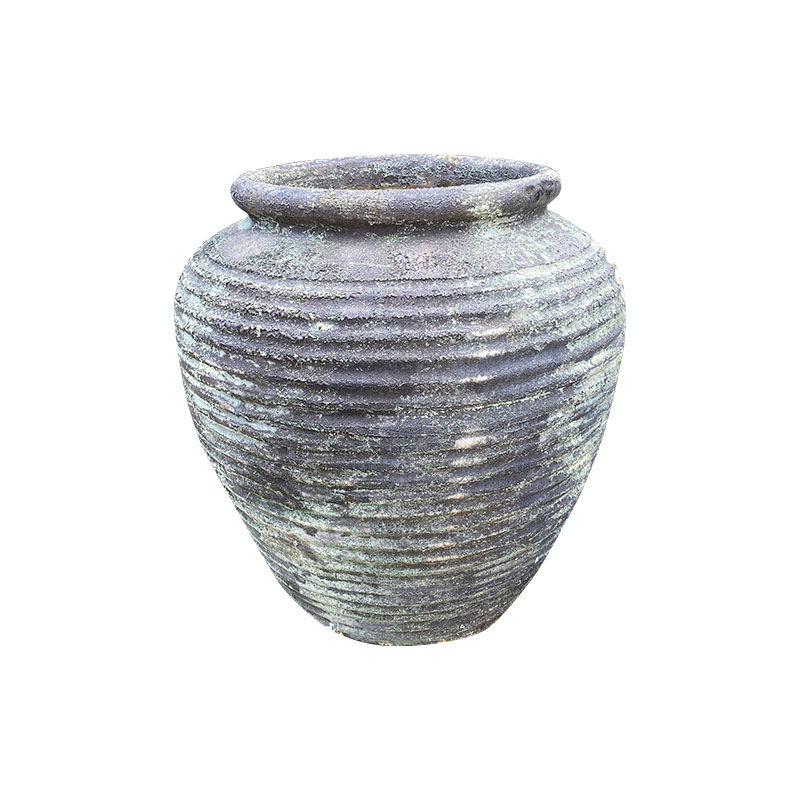 Wax Xanh Rêu