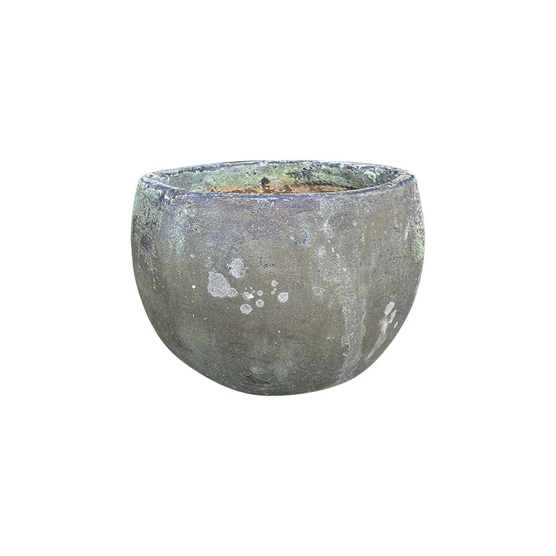 Wax Xanh Rêu