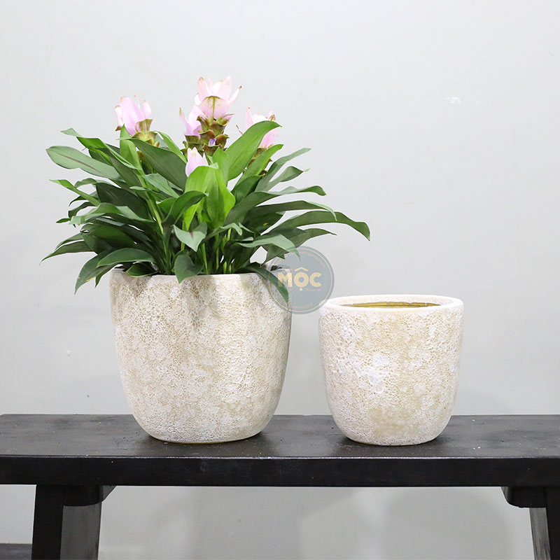 4194 Atlantic Trứng 26x26x25
