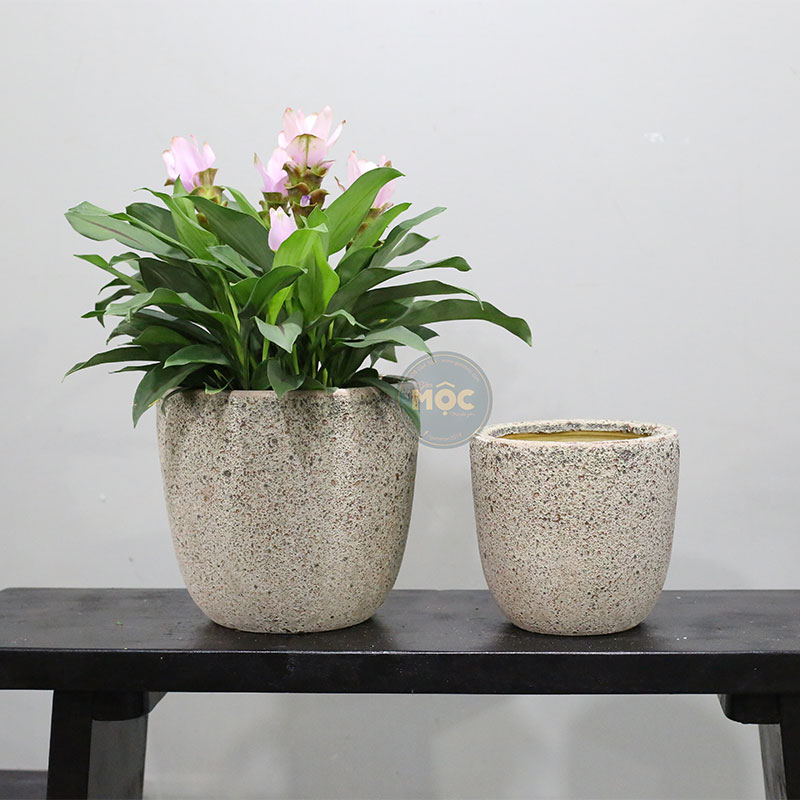 4194 Atlantic Trứng 26x26x25