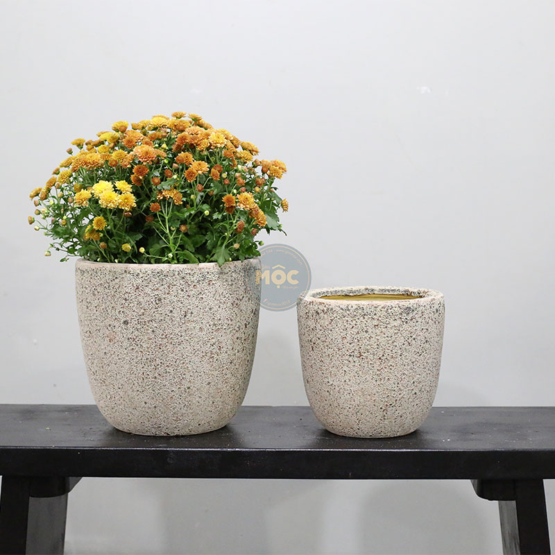 4194 Atlantic Trứng 26x26x25