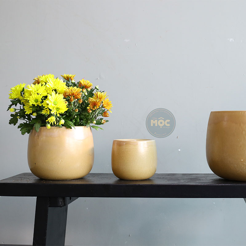 Mờ | 3746 Chậu ID Bầu Đáy 21x21x17 M19